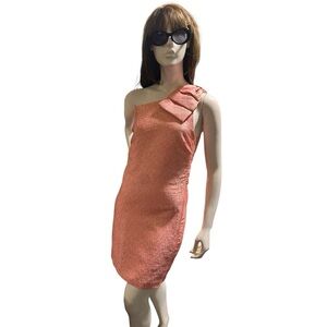 Britt Ryan Riogrand Pink with Metallic Gold Size S Dress NWOT